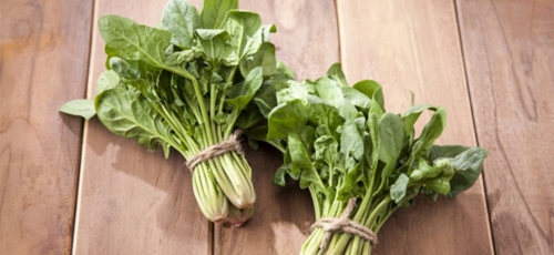 마그네슘 이미지