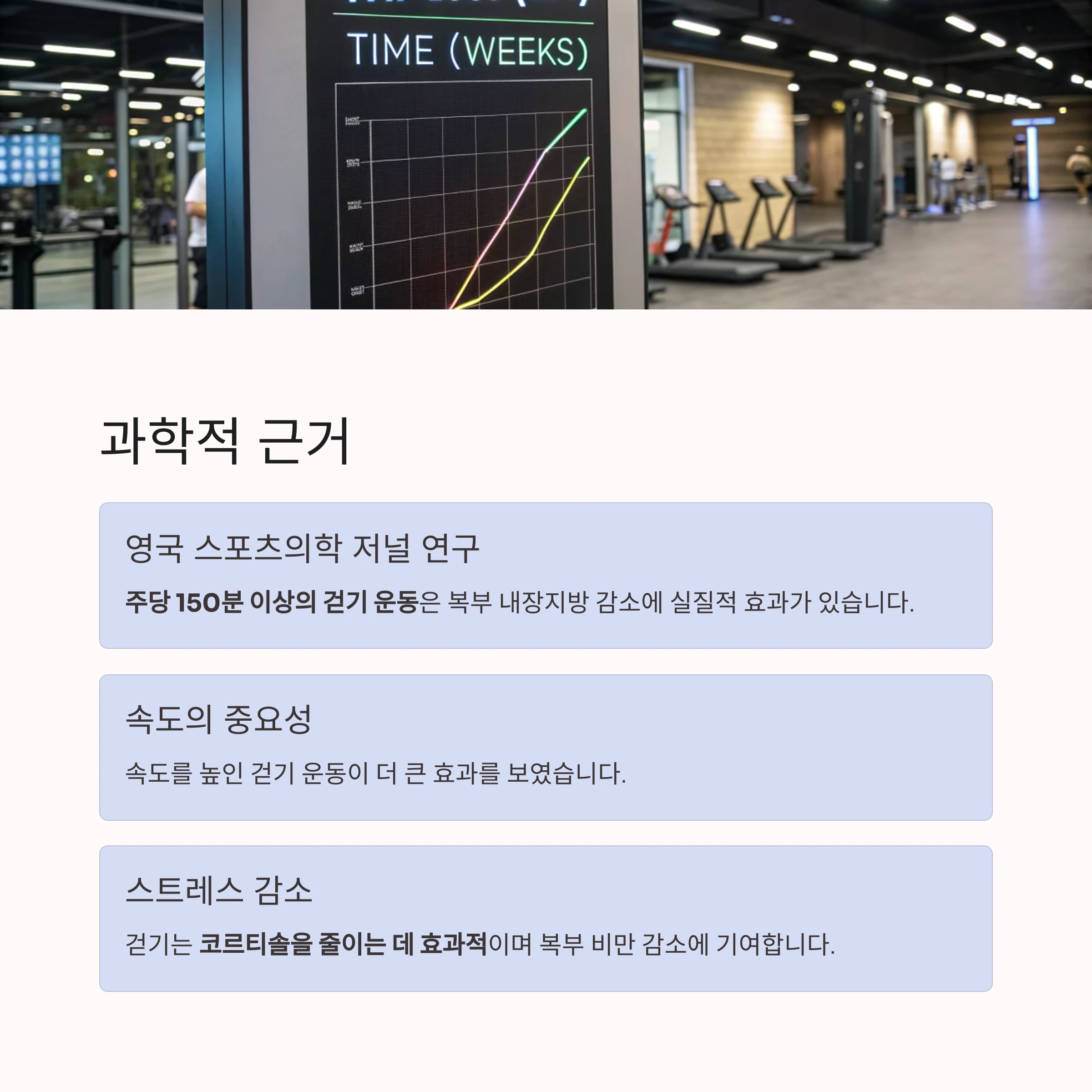 걷기운동