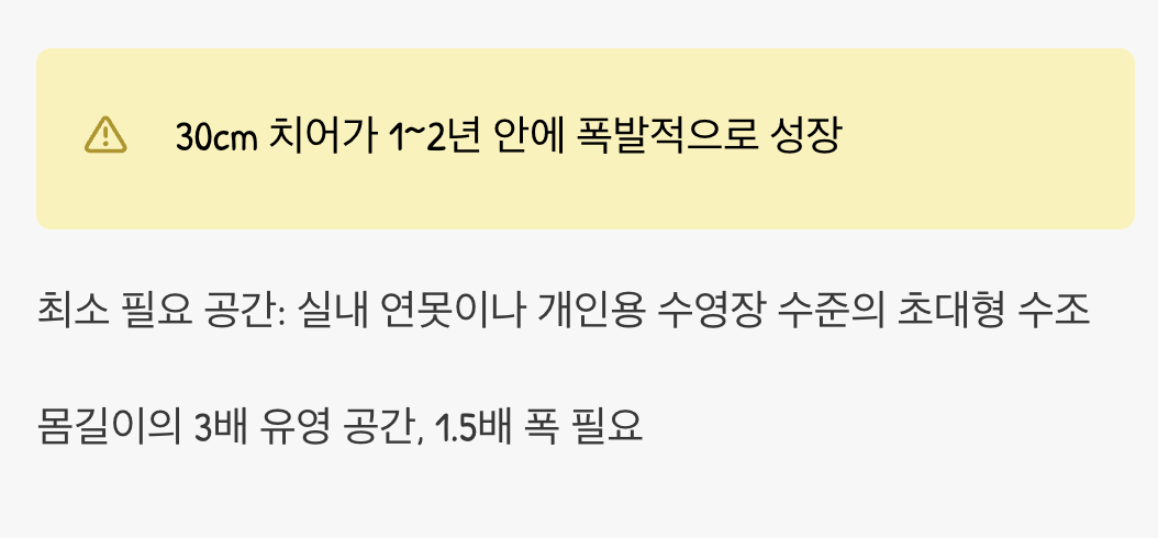 수조가 아닌, 수영장이 필요합니다