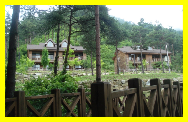 국립자연휴양림 예약&amp;#44; 국립자연휴양림 예약 성수기 추첨&amp;#44; 국립자연휴양림 추첨&amp;#44; 국립자연휴양림 성수기 추첨&amp;#44; 국립자연휴양림 성수기 예약 추첨&amp;#44; 국립자연휴양림 예약 신청방법