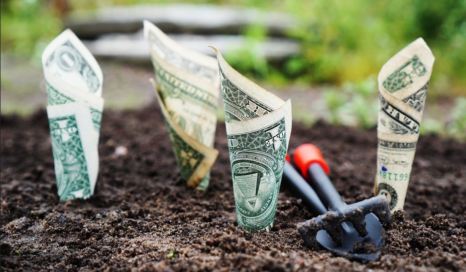 마치 나무를 심듯이 지폐 여러 장을 돌돌 말아서 땅에다 심은 사진