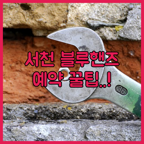 서천군 블루핸즈 지점별 차이점과 마이..