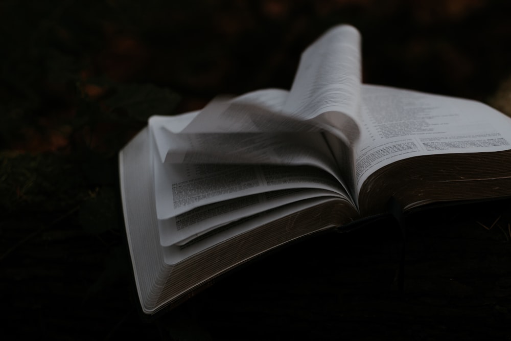 언어 배우기 관련 이미지