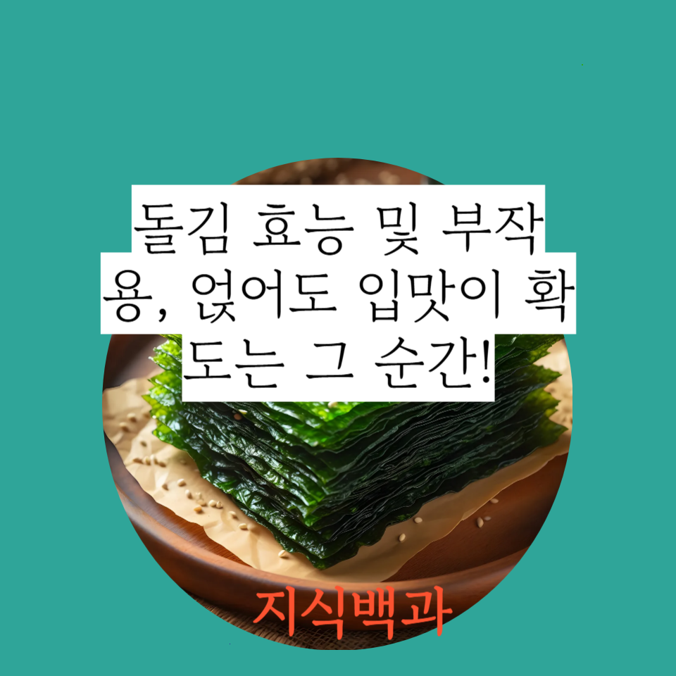 돌김 효능 및 부작용, 얹어도 입맛이 확 도는 그 순간!