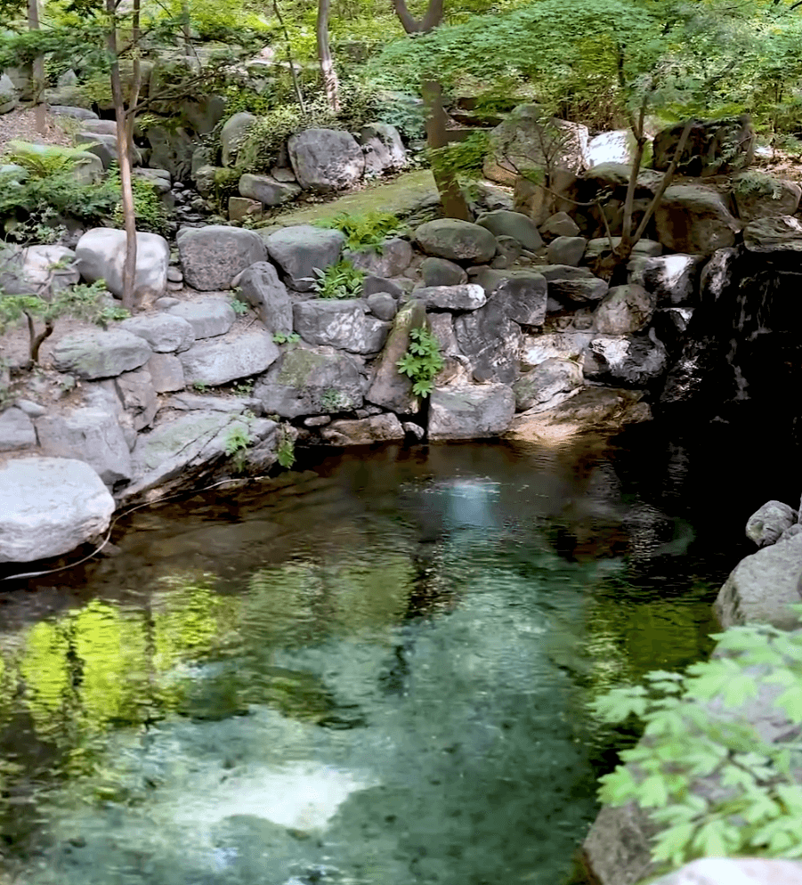 백악교 옆 계곡 산책로