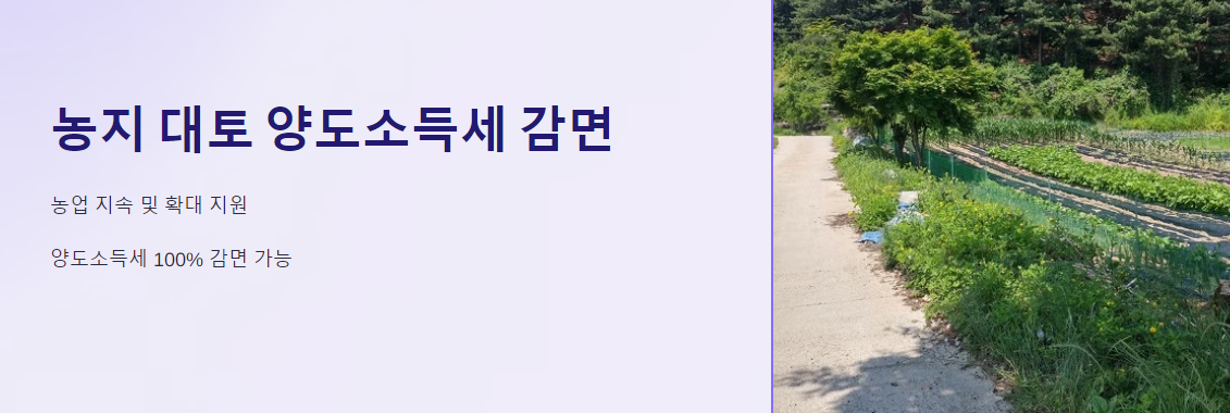 농지 대토 양도소득세 감면