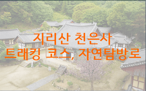 천은사 이미지