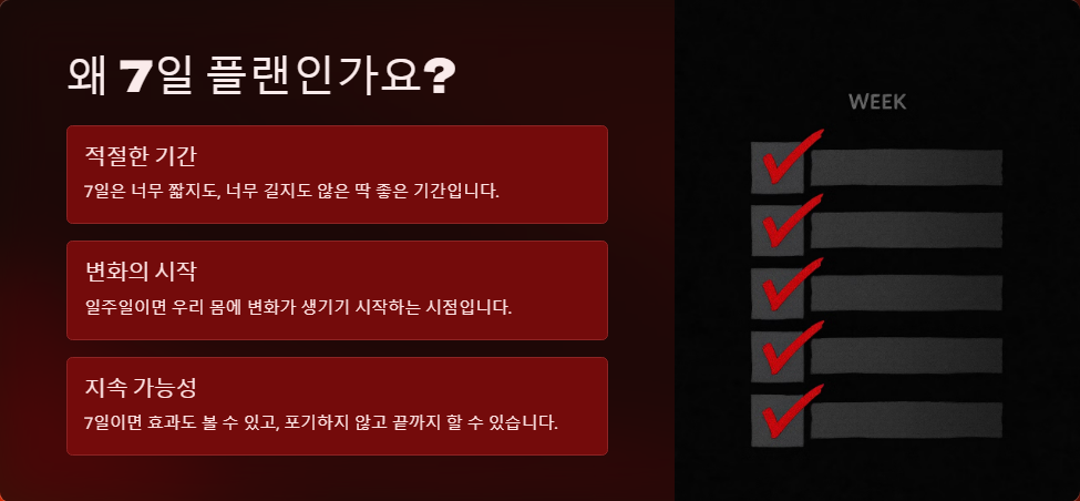 단기 다이어트 식단, 7일 플랜으로 효과 보기