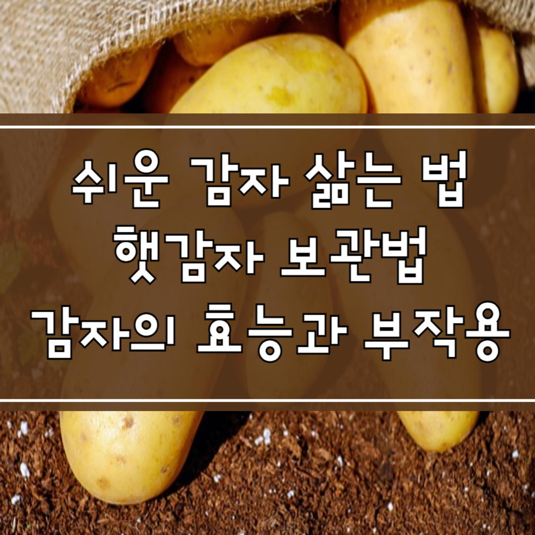 쉬운 감자 삶는 법, 햇감자 보관법, 감자의 효능과 부작용