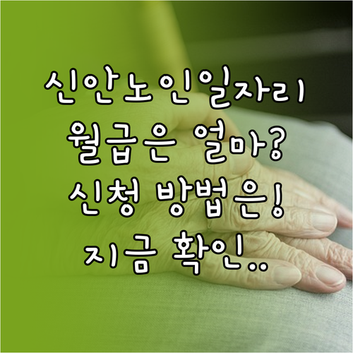 신안군 시니어클럽 노인일자리 종류 및..
