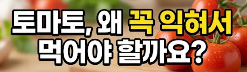 토마토 주스 만드는법