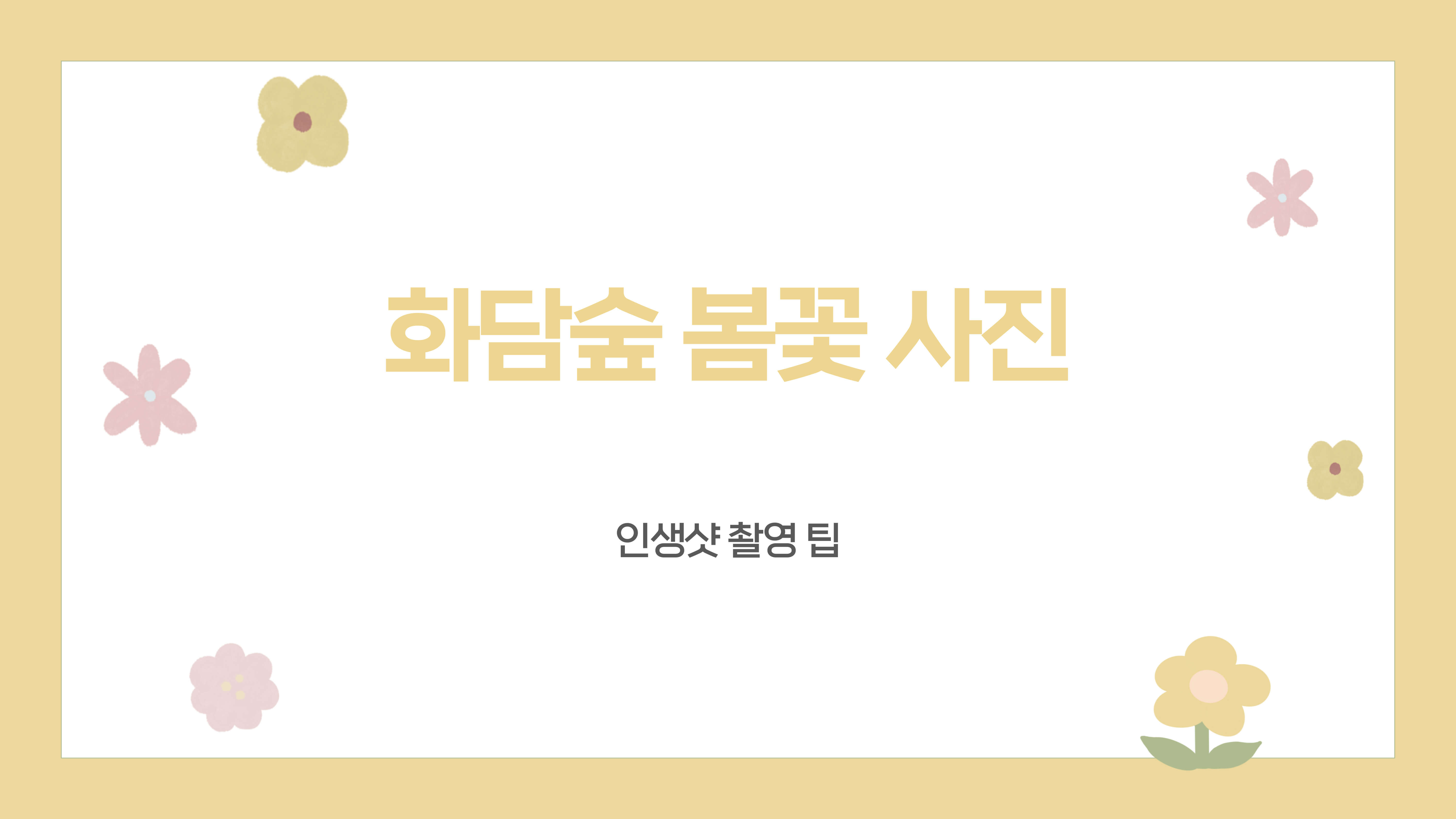 화담숲 봄꽃 사진 촬영 팁