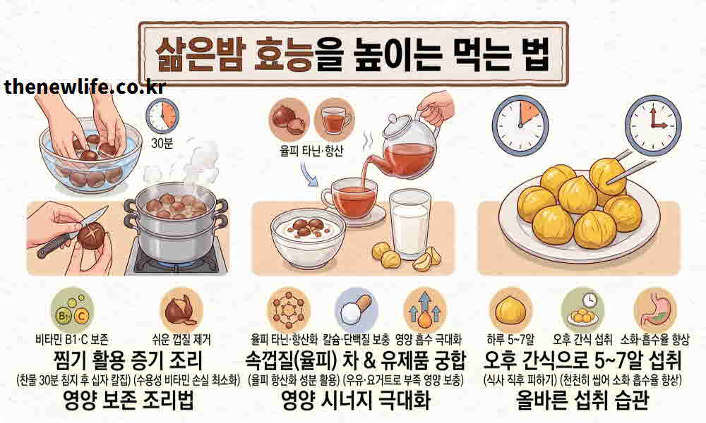 삶은밤 효능 높이는 먹는 방법