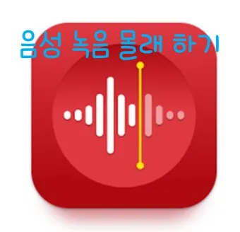 음성 맛집 베스트10 현지인 강력 추천 맛집_15