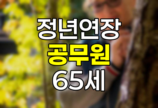 공무원 정년 연장 65세 시행 시기, 필요성, 문제점 및 향후 전망 심층 분석