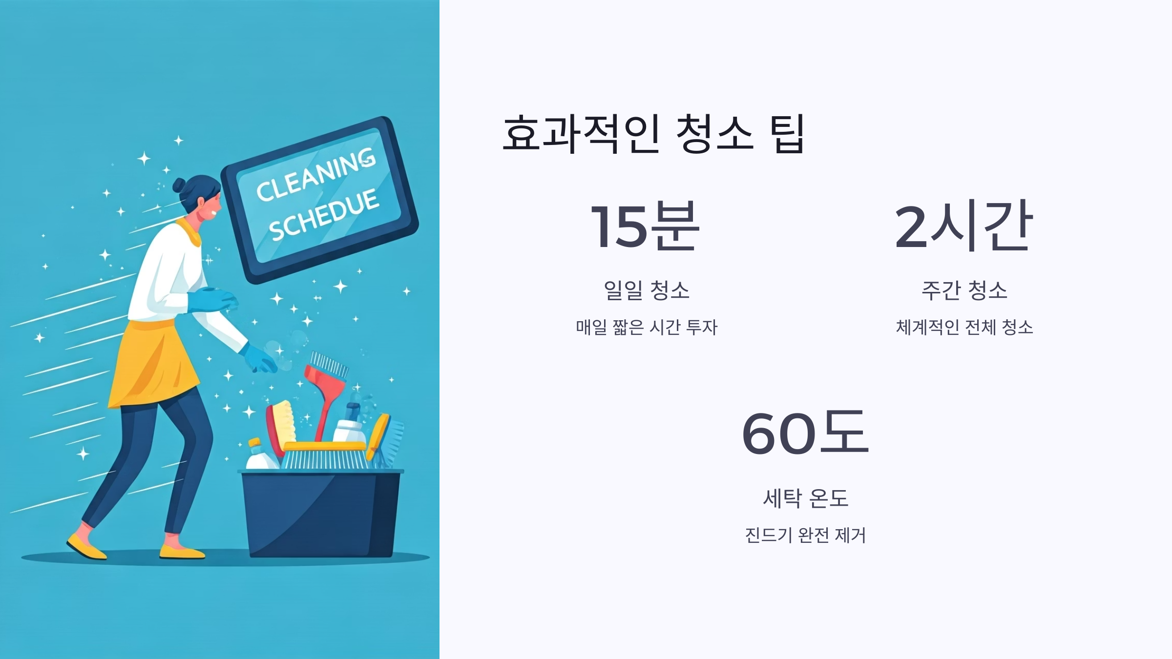 효과적인 카펫 청소 팁