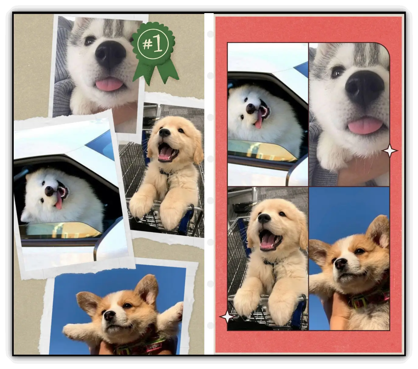 구글포토-콜라주-사진-합치기