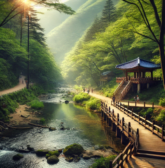 대전 힐링여행 휴양림 계곡 모습