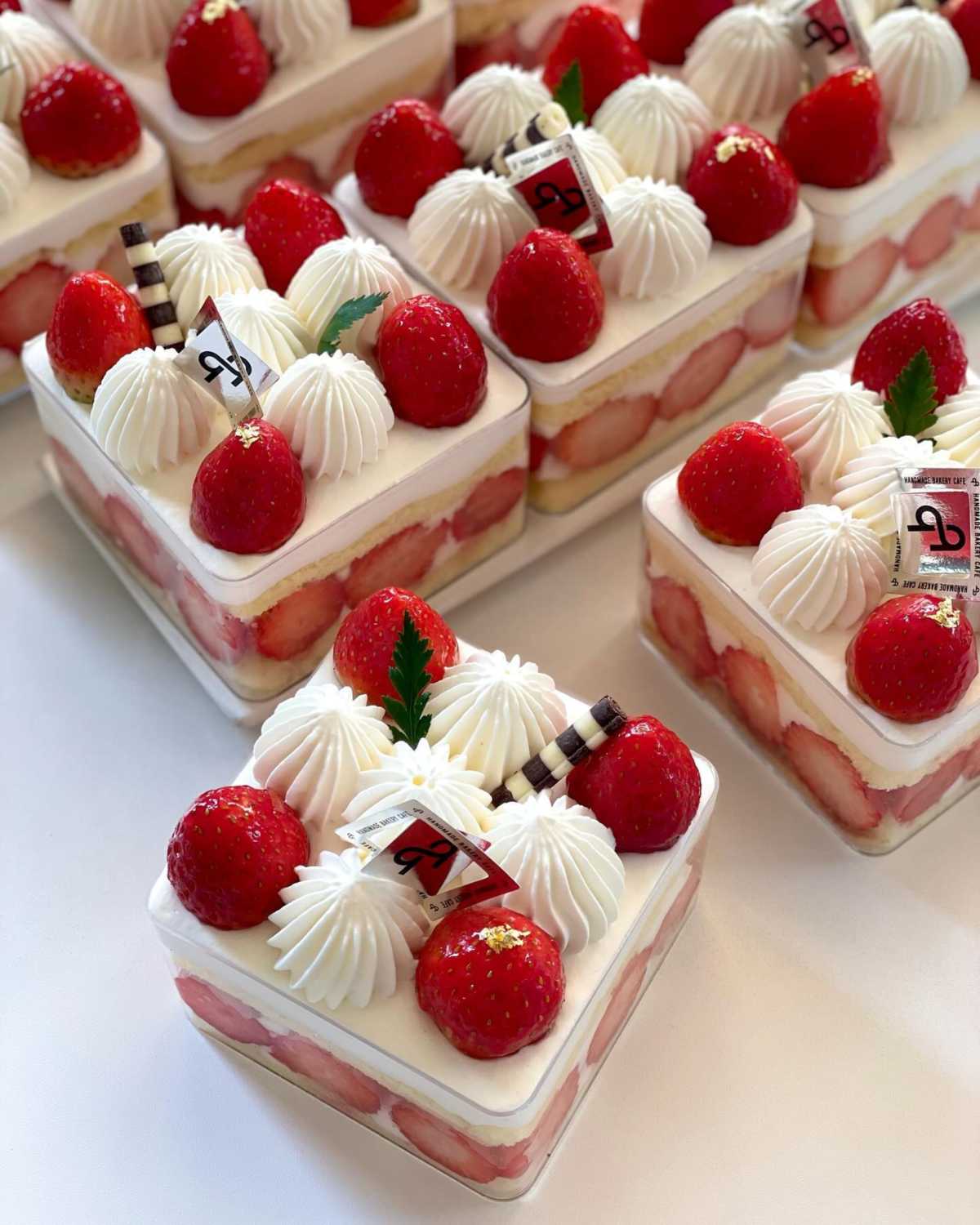 대전 맛집 TOP 5 (르뺑 99-1)