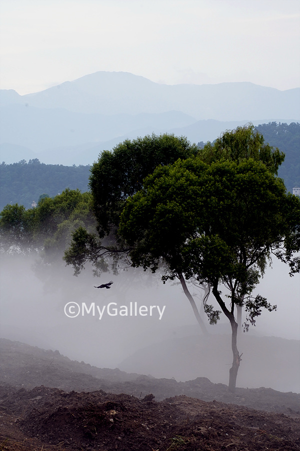 wonderful-landscape