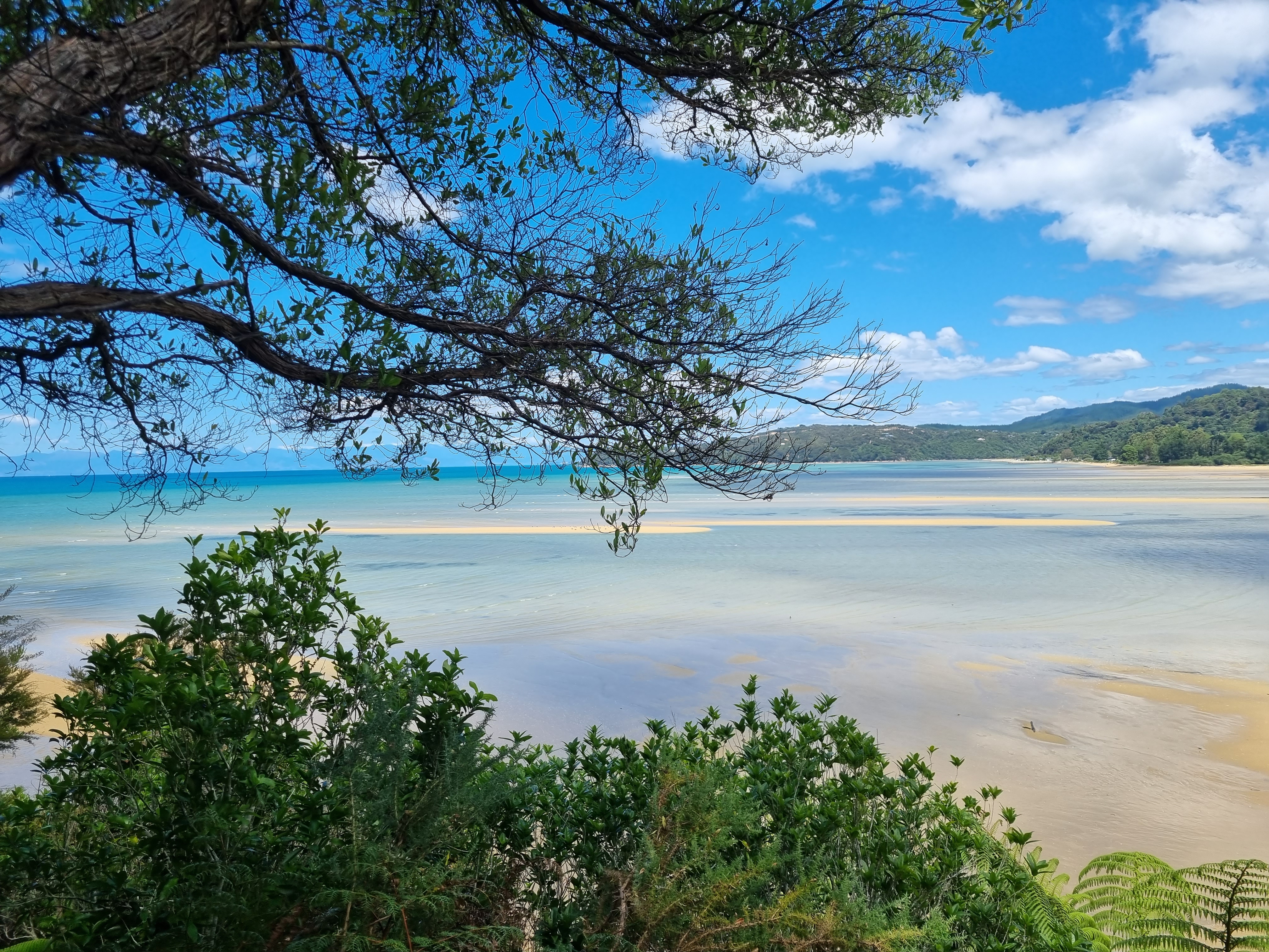 Abel Tasman Coast Track