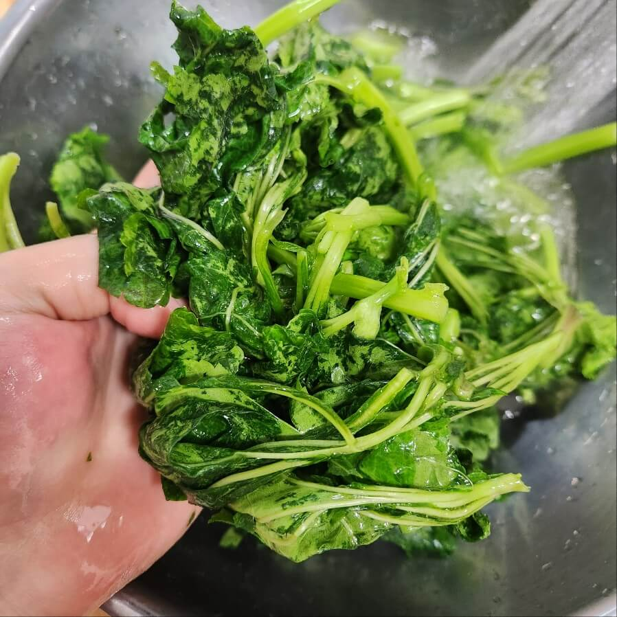 아욱 손질 아욱 이유식 아욱 효능 아욱 제철 아욱된장국 아욱쌈 아욱재배 소고기 아욱 이유식 이유식 아욱 아욱 포토 중기이유식 아욱 아욱꽃 아욱손질법 아욱죽 아욱심는시기 아욱무침 아기 아욱된장국 아욱나물 아욱파종시기 아욱국끓이는법 아욱국 아우구스투스 아우구스티누스 아우구스티노수도회 아욱요리 아욱국 맛있게 끓이는 방법 아욱 된장국 끓이는법 아욱국 끓이는 방법 아욱 파종시기 아욱 손질하는 법 아우구스티누스 고백록 아욱 요리 아욱 부작용