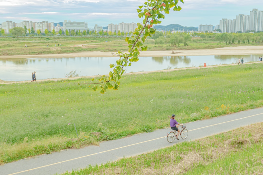 Cheonan