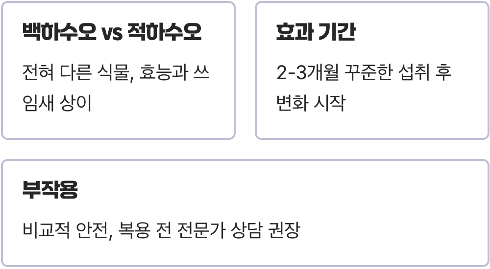 남성 활력, 여성 갱년기에 백하수오가 좋은 이유