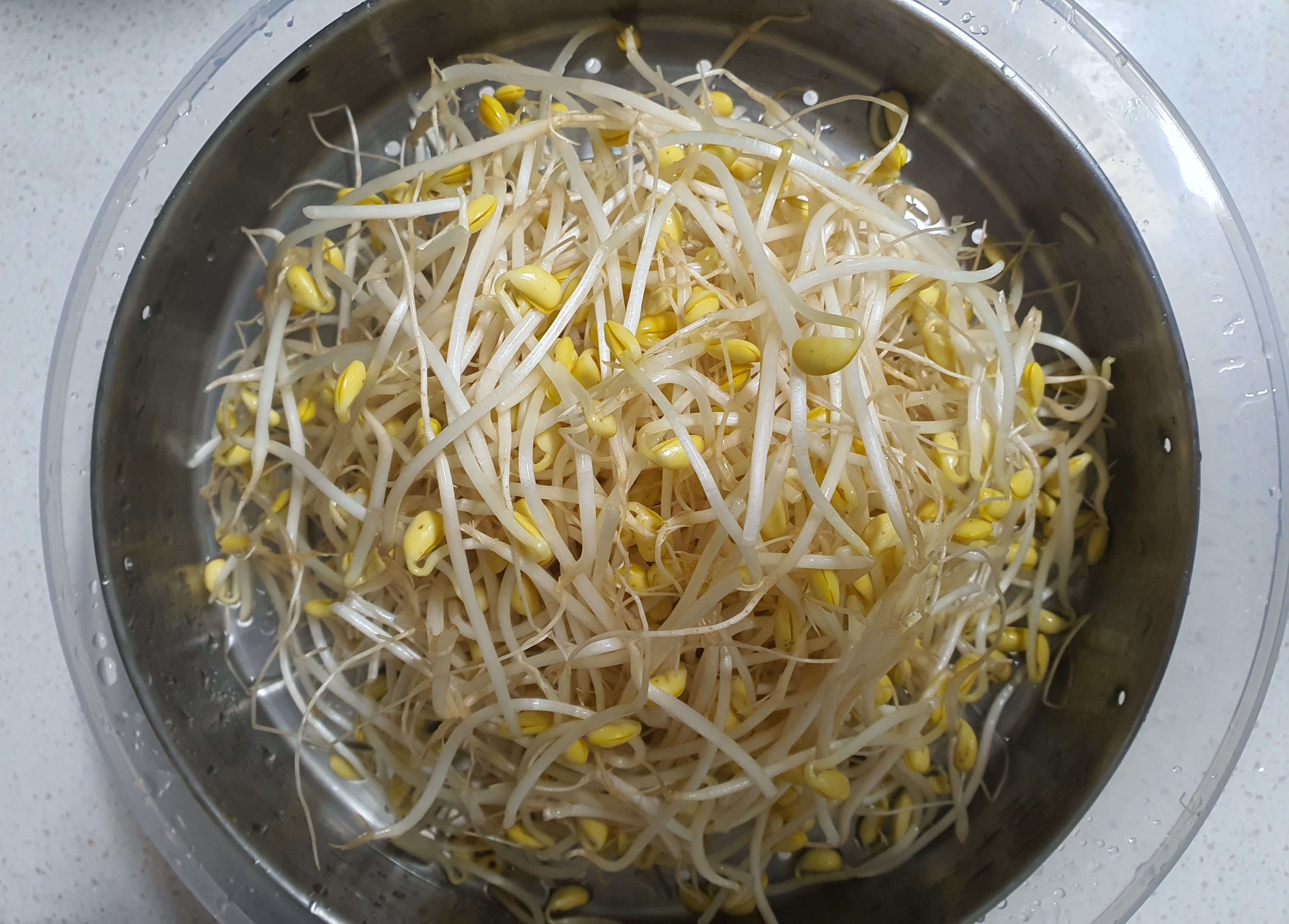 콩나물은-숨이-죽으니-많이-넣어도-됩니다.