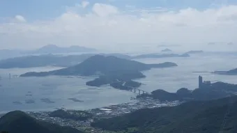 완도 맛집 베스트10 숨겨진 남도 해산물_13