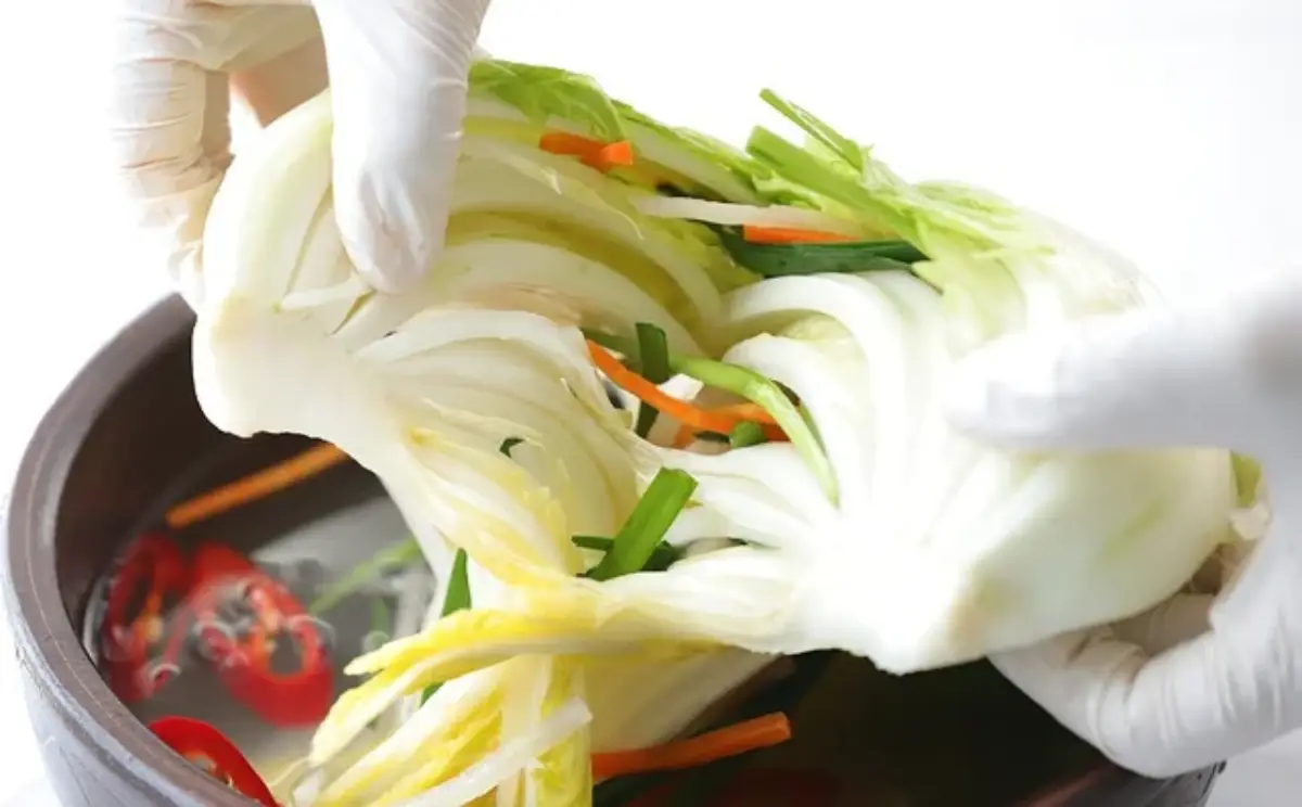 김치-효능