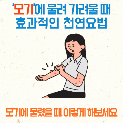 모기물렸을때