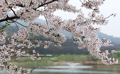 교통&middot;문화 할인 인포그래픽