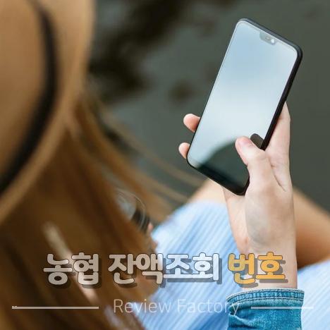 농협 잔액조회 번호