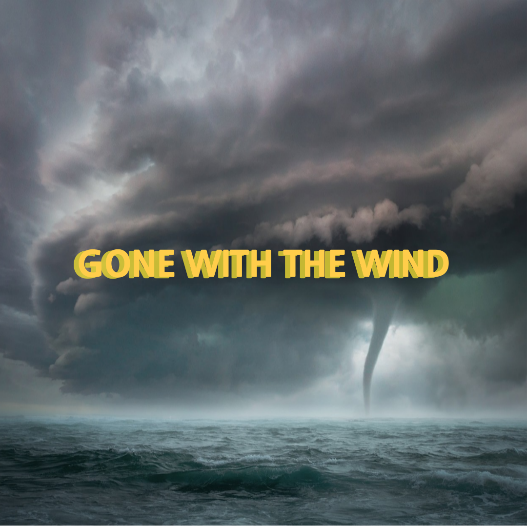 '바람과 함께 사라지다' 내용에 대한 강렬한 대표 이미지