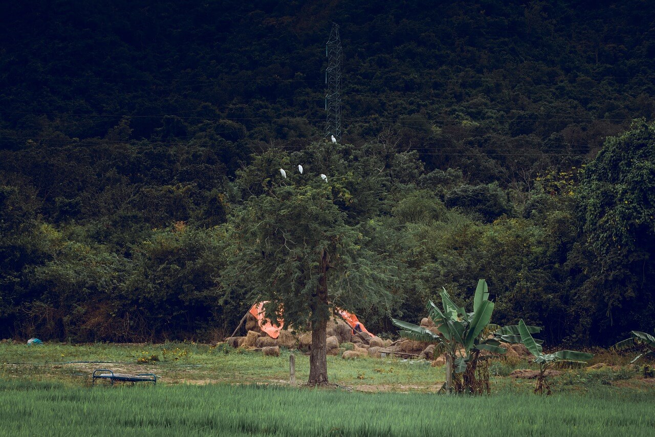 고향사랑기부제