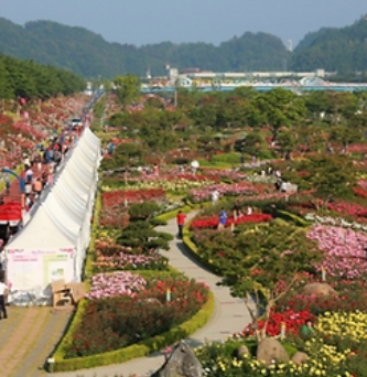 2024 삼척 장미축제 행사장 안내