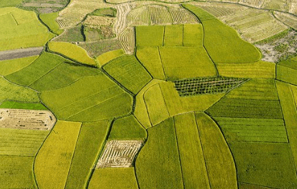 베트남 계절 날씨 건기 우기