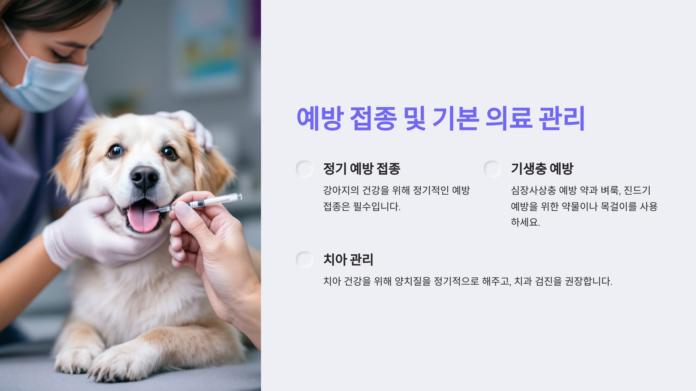 예방 접종 및 기본 의료 관리