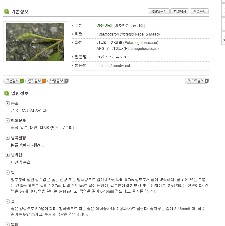 특정 식물의 상세 정보 페이지