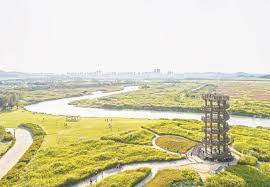  국내 가을 여행 - 시흥 갯골생태공원