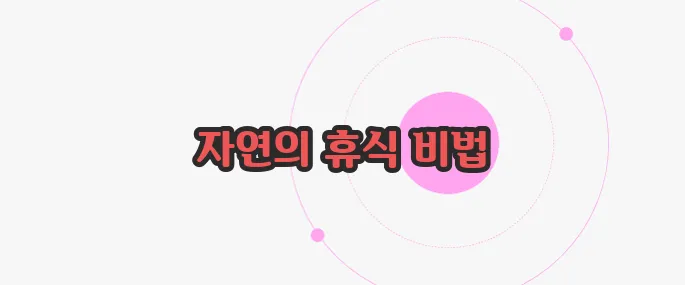 캐모마일차 효능 가볍게 살펴볼까요