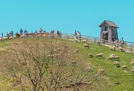 평창 국내여행지 추천