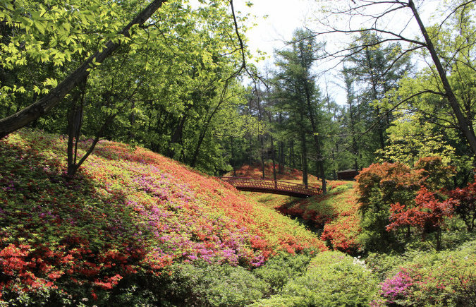 장흥자생수목원 이미지