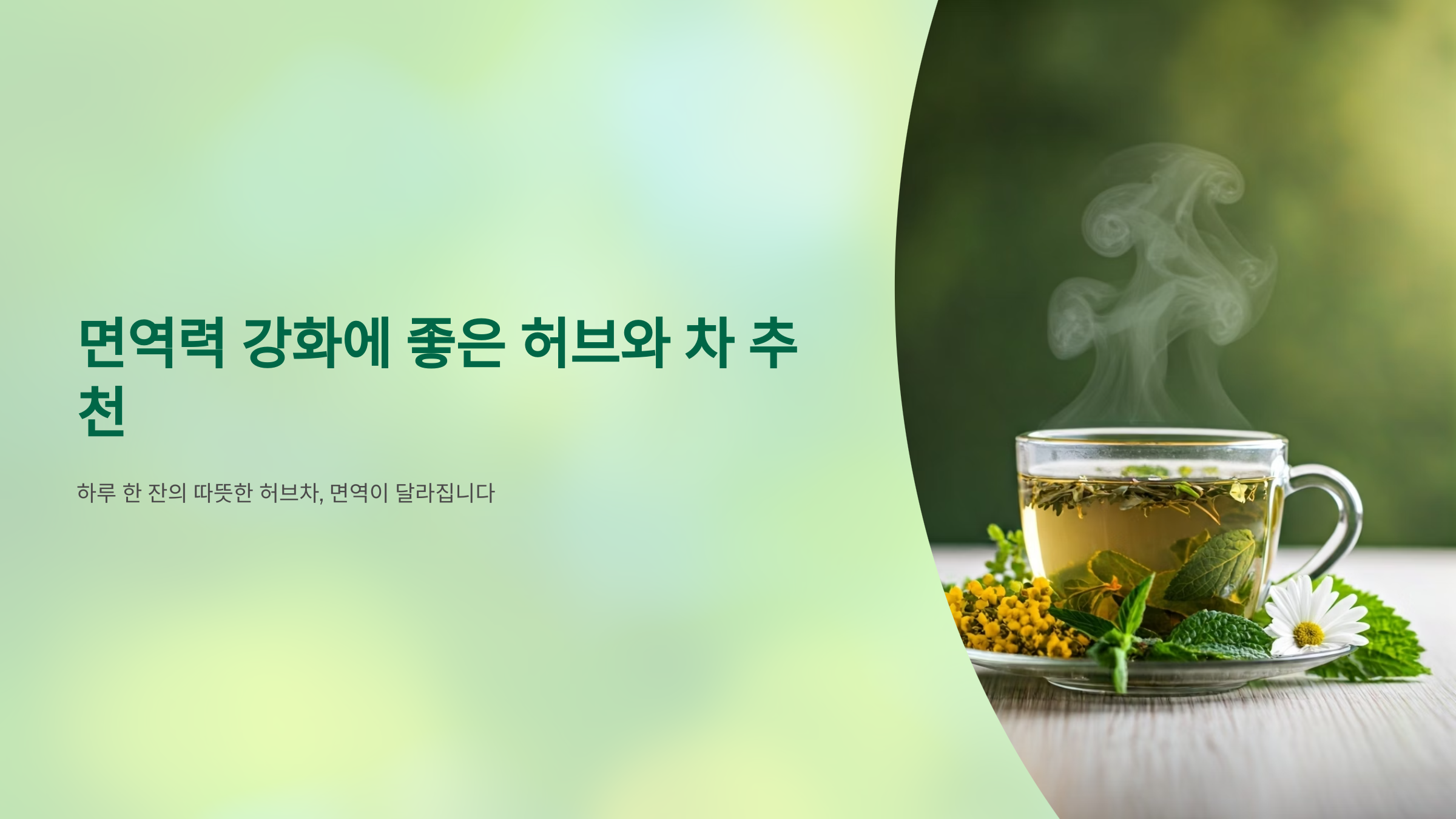 면역 강화 좋은 허브 차