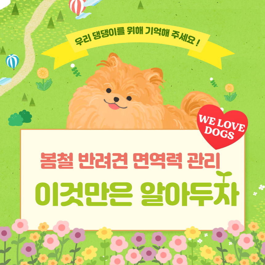 봄철 면역력관리