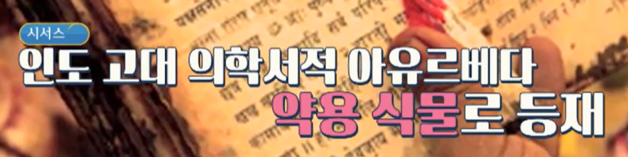 시서스