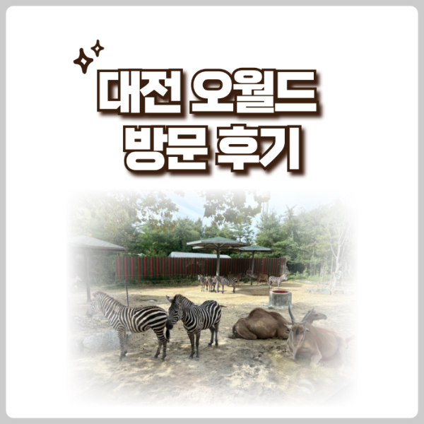 대전오월드