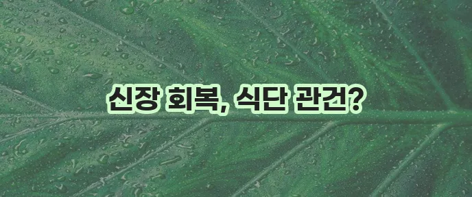 급성 신부전증에 좋은 음식 꼭 알아봐야 합니다!