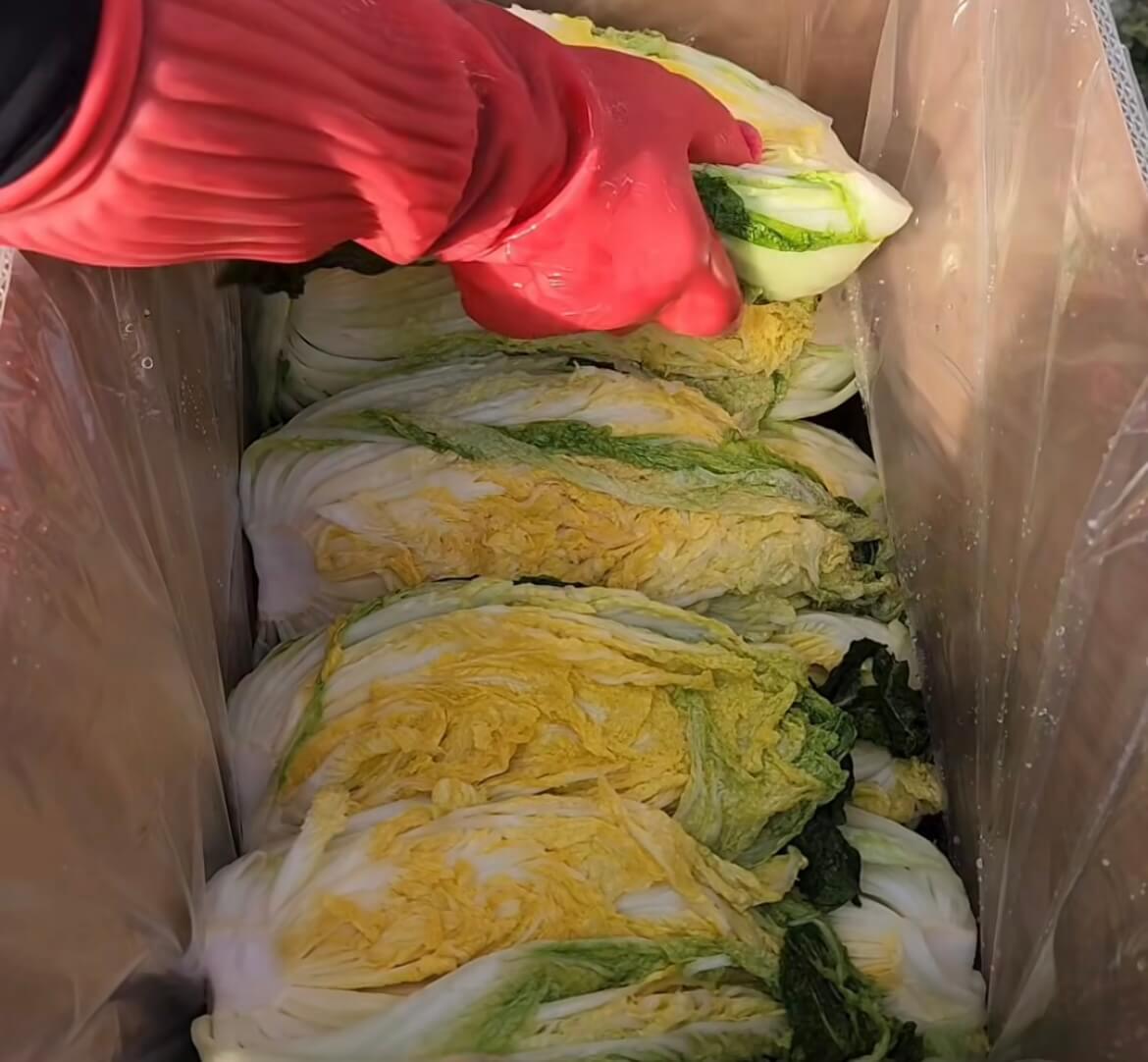 김장철 쓰레기 배출, 이것만 알고 준비하세요! 관련사진